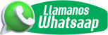 WhatsApp Icon